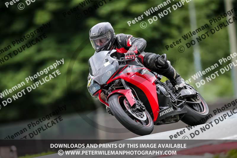 PJ Motorsport 2019;anglesey;brands hatch;cadwell park;croft;donington park;enduro digital images;event digital images;eventdigitalimages;mallory;no limits;oulton park;peter wileman photography;racing digital images;silverstone;snetterton;trackday digital images;trackday photos;vmcc banbury run;welsh 2 day enduro